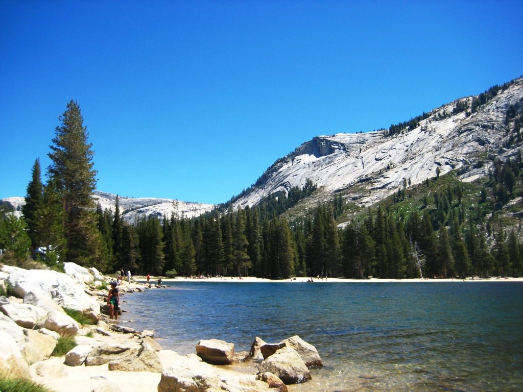 Tenaya Lake panorama from Tioga road at Yosemite National Park