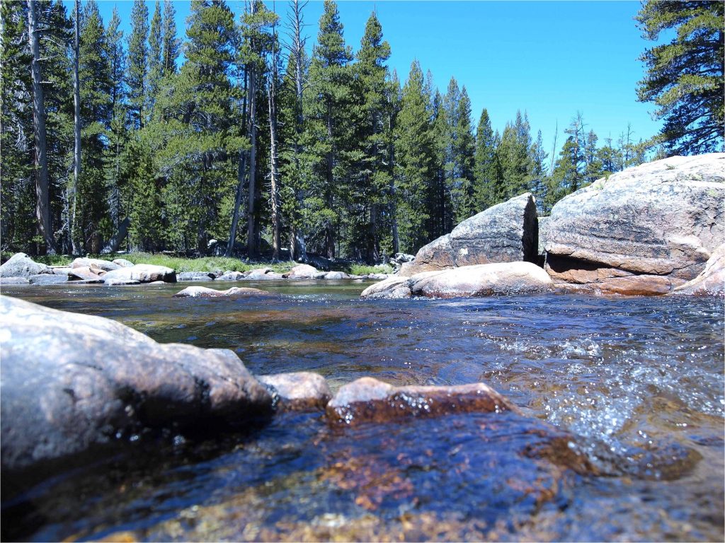 Porcupine Creek at Yosemite National Park