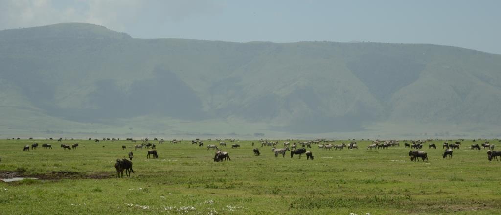 Ngorongoro landscape