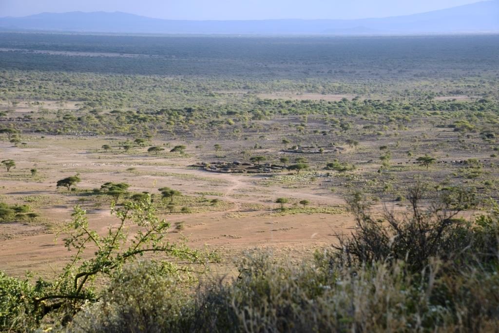 Massai village
